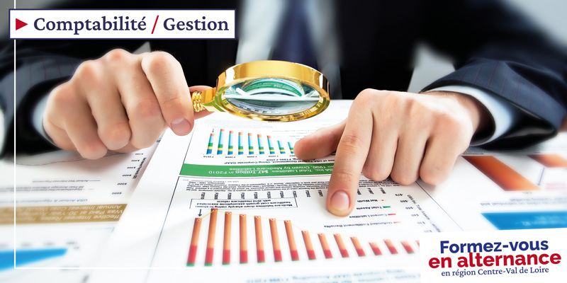 Licence - Comptabilité, contrôle, audit