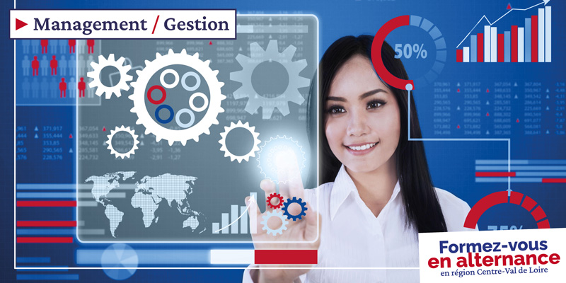 Gestion des organisations